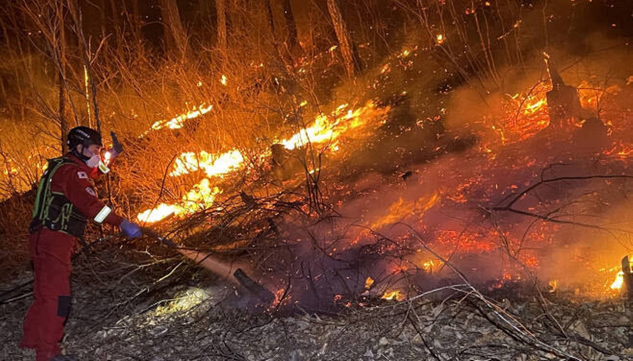 강원도 산불 화재 지역에서 산림청 산림항공본부 대원이 지상 진화 작업에 나서고 있는 모습. [사진=산림청]