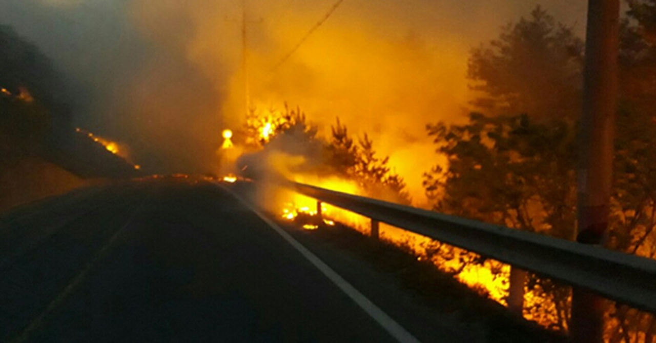 강원도 강릉에서 발생한 산불로 도로변 산림이 불에 타면서 붉은 화염과 짙은 연기가 발생하고 있다. [사진=강원도소방본부]